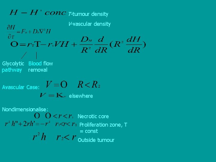 T-tumour density V-vascular density Glycolytic Blood flow pathway removal Avascular Case: elsewhere Nondimensionalise: Necrotic