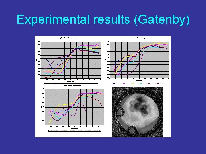 Experimental results (Gatenby) 