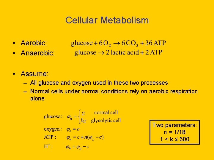 Cellular Metabolism • Aerobic: • Anaerobic: • Assume: – All glucose and oxygen used