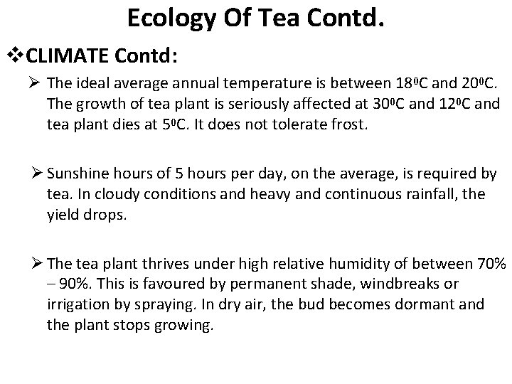 Ecology Of Tea Contd. v. CLIMATE Contd: Ø The ideal average annual temperature is