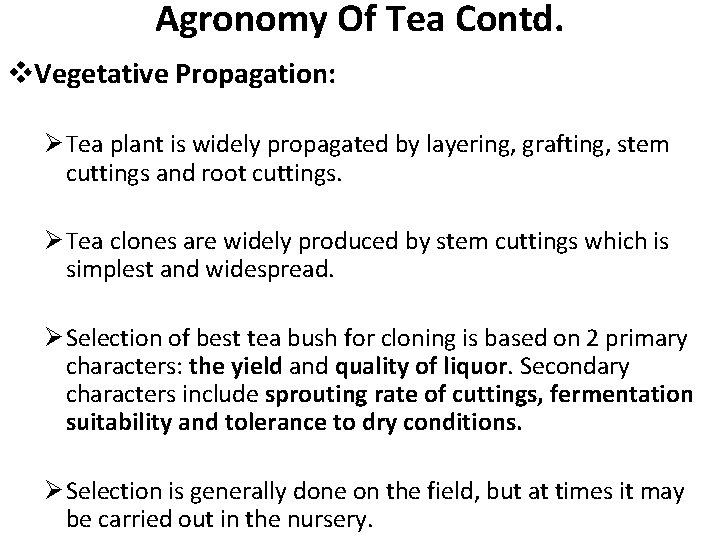 Agronomy Of Tea Contd. v. Vegetative Propagation: Ø Tea plant is widely propagated by