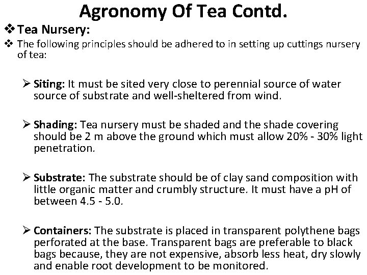 Agronomy Of Tea Contd. v Tea Nursery: v The following principles should be adhered