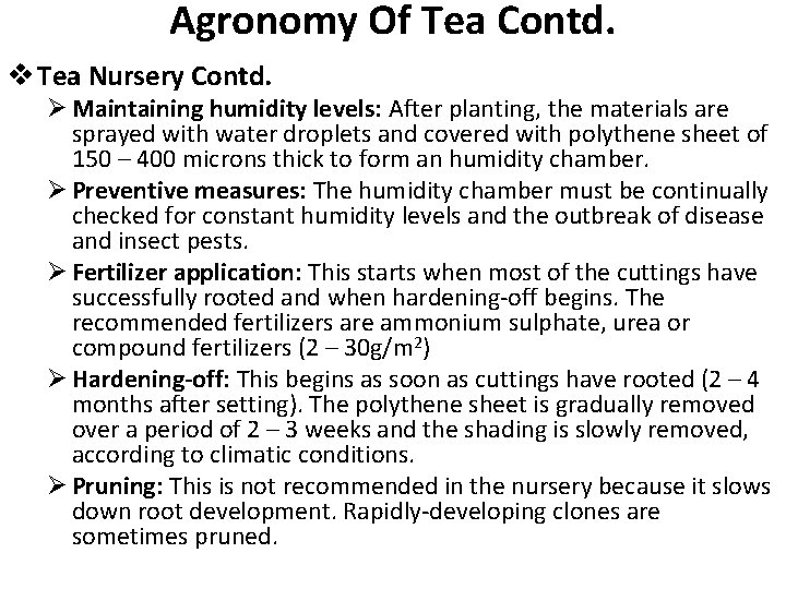 Agronomy Of Tea Contd. v Tea Nursery Contd. Ø Maintaining humidity levels: After planting,