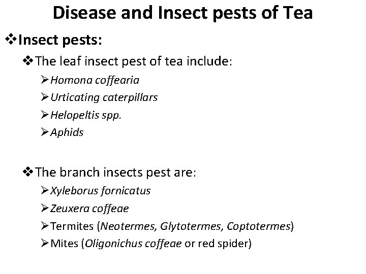 Disease and Insect pests of Tea v. Insect pests: v. The leaf insect pest