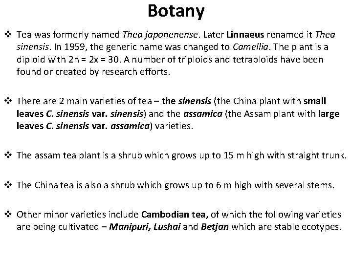 Botany v Tea was formerly named Thea japonenense. Later Linnaeus renamed it Thea sinensis.