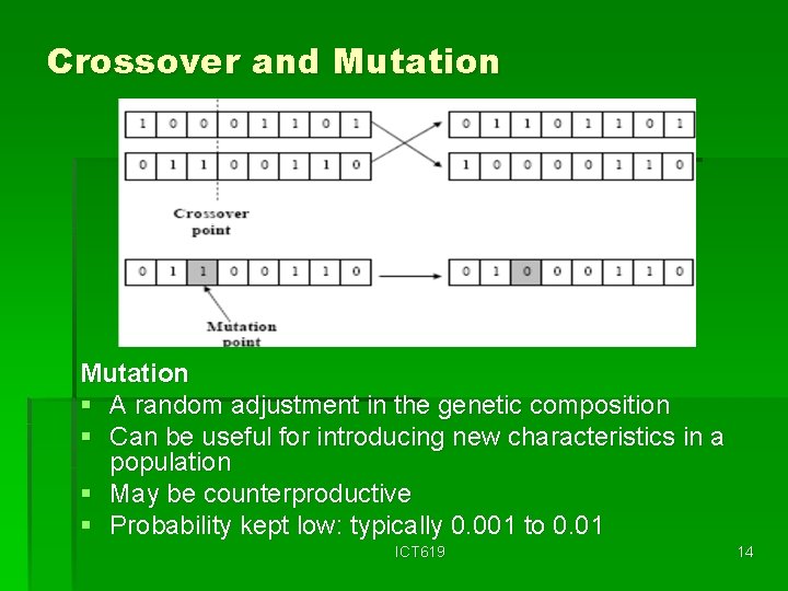 Crossover and Mutation § A random adjustment in the genetic composition § Can be