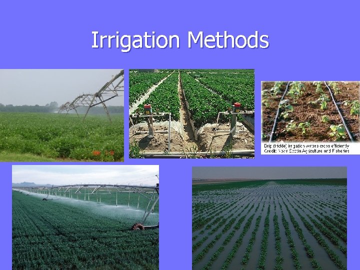 Irrigation Methods 