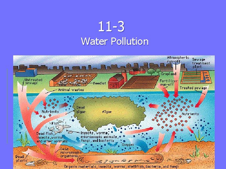 11 -3 Water Pollution 