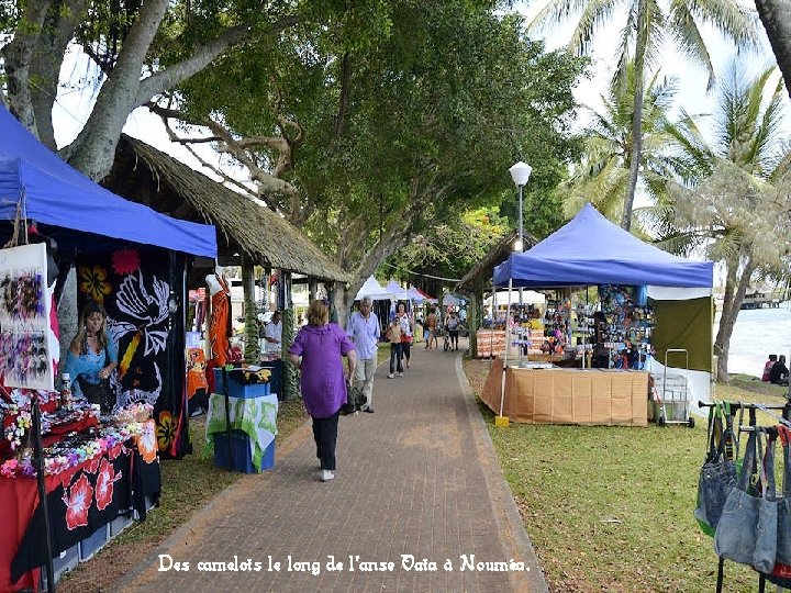 Des camelots le long de l’anse Vata à Nouméa. 