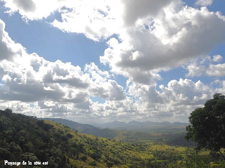 Paysage de la côte est 