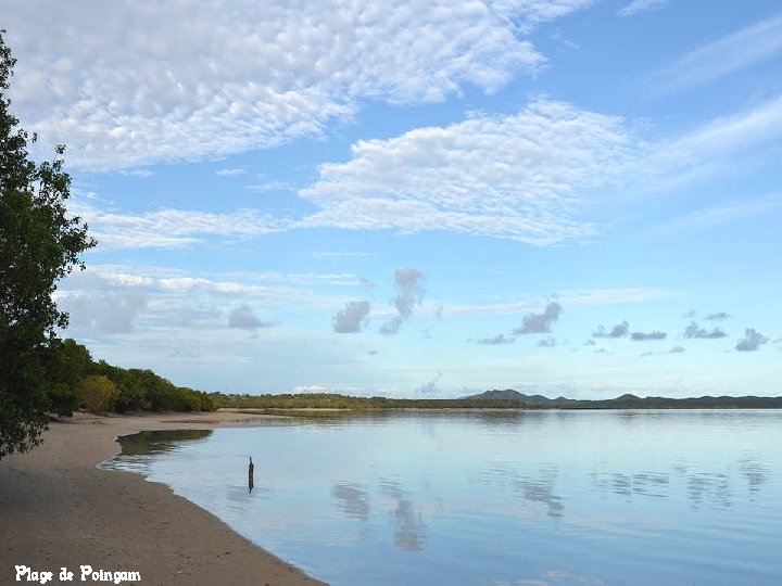 Plage de Poingam 