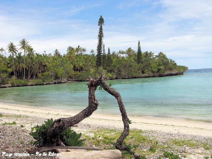 Plage orientale – Ile de Lifou 