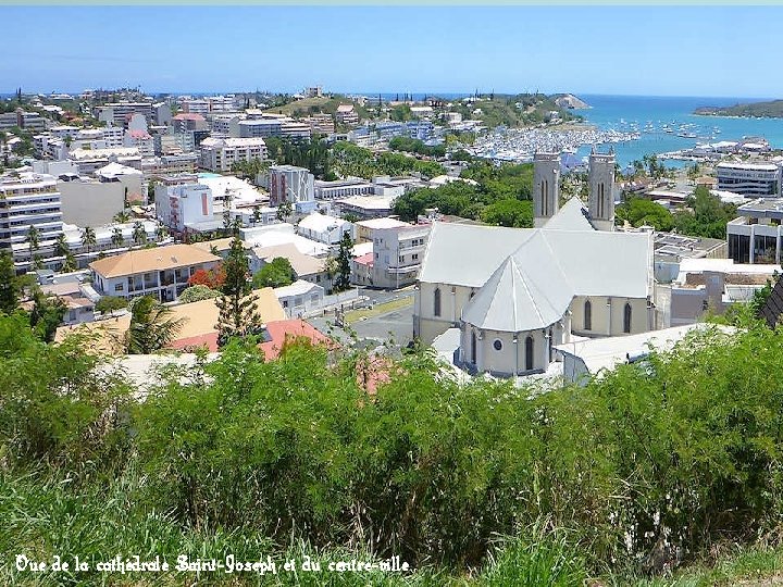 Vue de la cathédrale Saint-Joseph et du centre-ville 