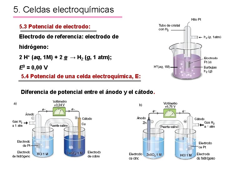 5. Celdas electroquímicas 5. 3 Potencial de electrodo: Electrodo de referencia: electrodo de hidrógeno: