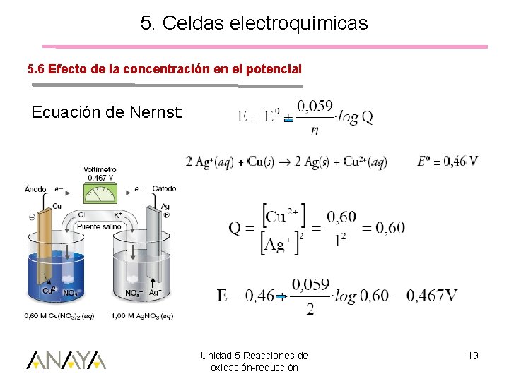 5. Celdas electroquímicas 5. 6 Efecto de la concentración en el potencial Ecuación de