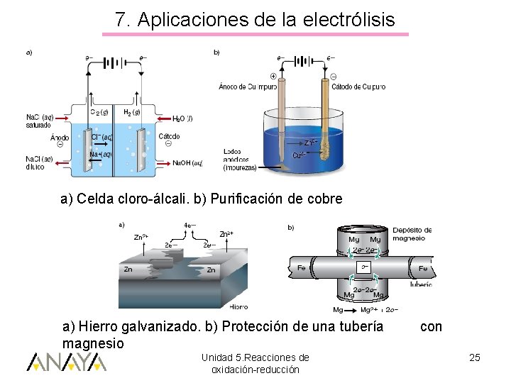 7. Aplicaciones de la electrólisis a) Celda cloro-álcali. b) Purificación de cobre a) Hierro