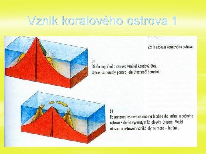 Vznik koralového ostrova 1 