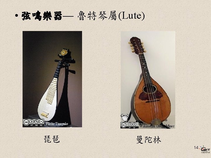  • 弦鳴樂器— 魯特琴屬(Lute) Flickr Tianyake 琵琶 Wikimedia Gregg Miner 曼陀林 14 