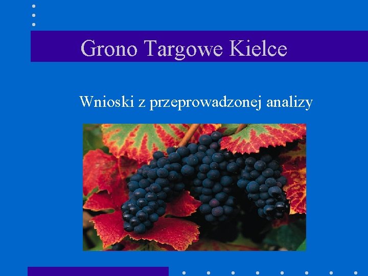Grono Targowe Kielce Wnioski z przeprowadzonej analizy 