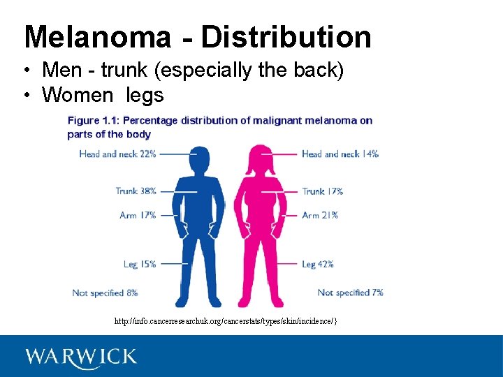 Melanoma - Distribution • Men - trunk (especially the back) • Women legs http: