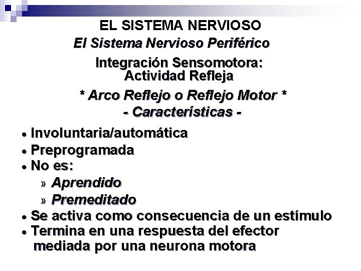 EL SISTEMA NERVIOSO El Sistema Nervioso Periférico Integración Sensomotora: Actividad Refleja * Arco Reflejo