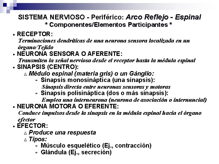 SISTEMA NERVIOSO - Periférico: Arco Reflejo - Espinal * Componentes/Elementos Participantes * RECEPTOR: Terminaciones