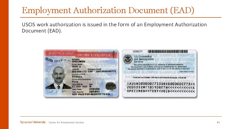 Employment Authorization Document (EAD) USCIS work authorization is issued in the form of an