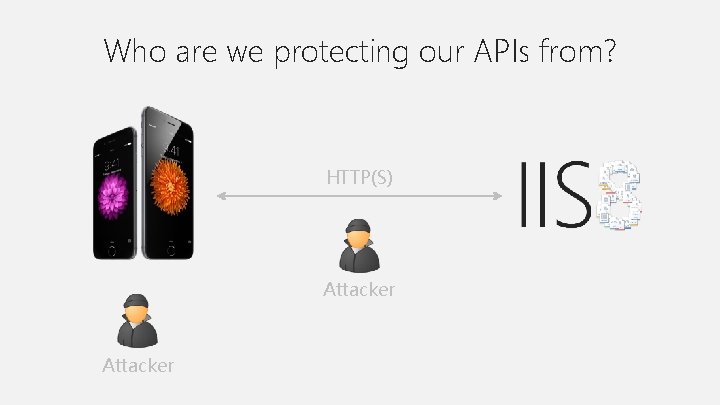 Who are we protecting our APIs from? HTTP(S) Attacker 