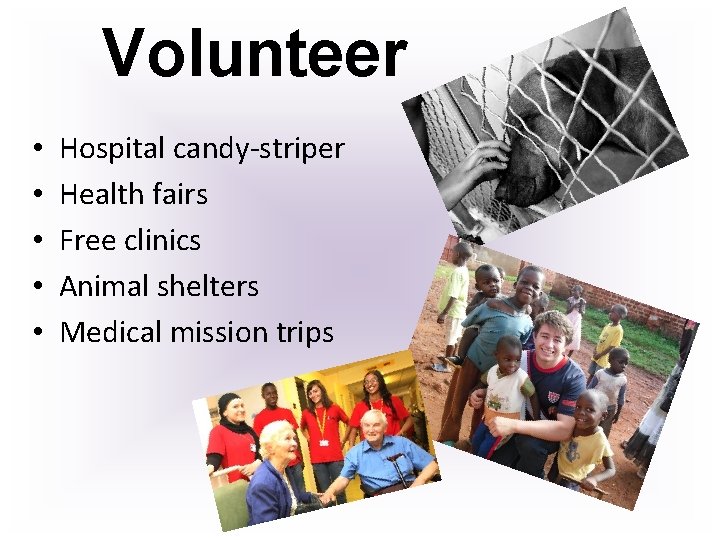 Volunteer • • • Hospital candy-striper Health fairs Free clinics Animal shelters Medical mission