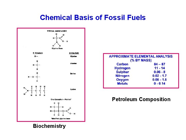 Chemical Basis of Fossil Fuels Petroleum Composition Biochemistry 
