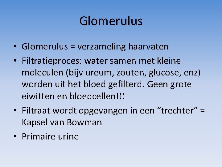Glomerulus • Glomerulus = verzameling haarvaten • Filtratieproces: water samen met kleine moleculen (bijv