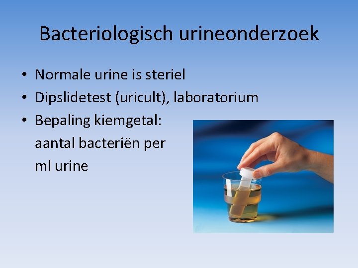 Bacteriologisch urineonderzoek • Normale urine is steriel • Dipslidetest (uricult), laboratorium • Bepaling kiemgetal: