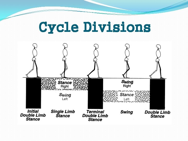 Cycle Divisions 
