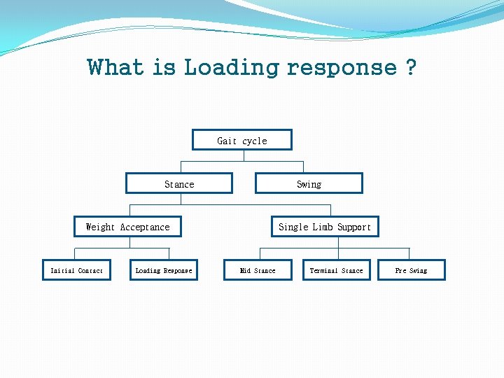 What is Loading response ? Gait cycle Stance Swing Weight Acceptance Initial Contact Loading