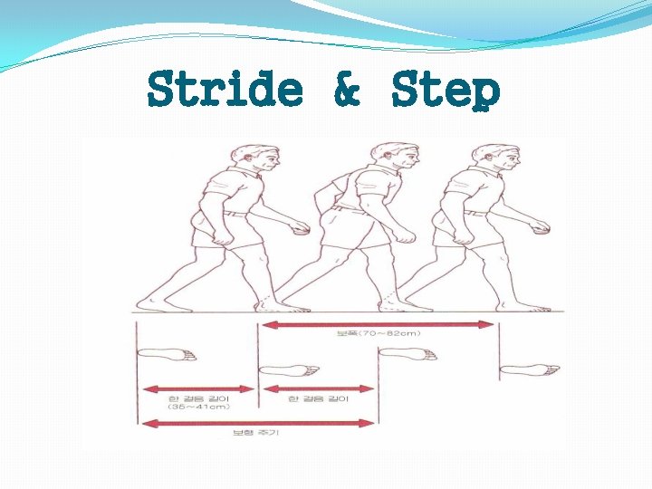 Stride & Step 