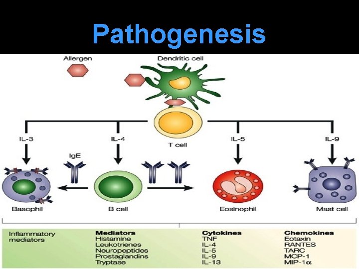 Pathogenesis 