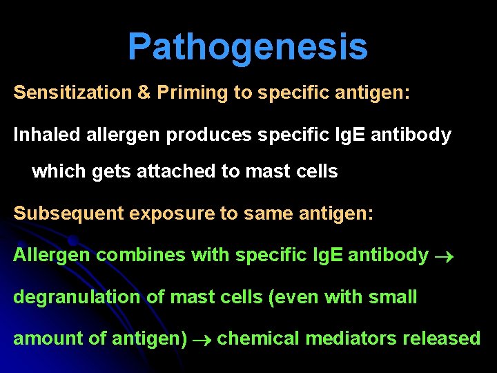 Pathogenesis Sensitization & Priming to specific antigen: Inhaled allergen produces specific Ig. E antibody