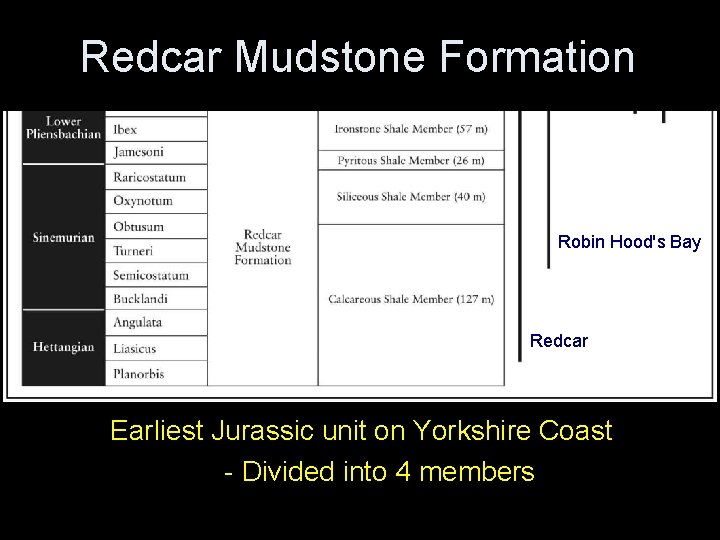 Redcar Mudstone Formation Robin Hood's Bay Redcar Earliest Jurassic unit on Yorkshire Coast – Redcar Mudstone Formation Robin Hood's Bay Redcar Earliest Jurassic unit on Yorkshire Coast –