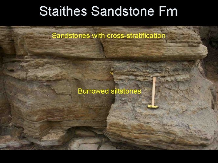Staithes Sandstone Fm Sandstones with cross-stratification Burrowed siltstones Staithes Sandstone Fm Sandstones with cross-stratification Burrowed siltstones
