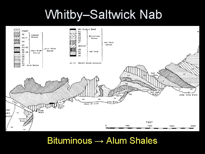 Whitby–Saltwick Nab Bituminous → Alum Shales Whitby–Saltwick Nab Bituminous → Alum Shales