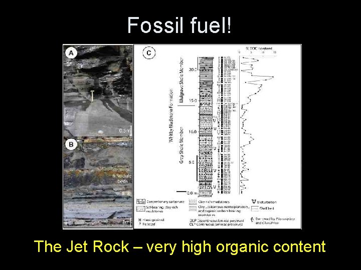 Fossil fuel! The Jet Rock – very high organic content Fossil fuel! The Jet Rock – very high organic content