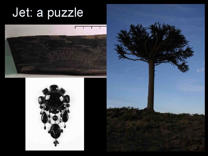 Jet: a puzzle Jet: a puzzle