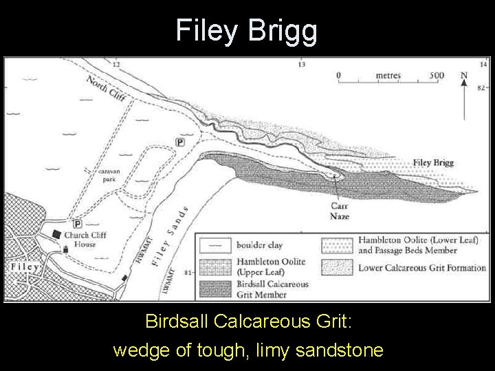 Filey Brigg Birdsall Calcareous Grit: wedge of tough, limy sandstone Filey Brigg Birdsall Calcareous Grit: wedge of tough, limy sandstone