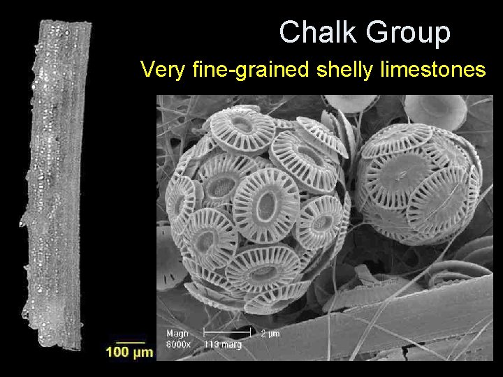 Chalk Group Very fine-grained shelly limestones Chalk Group Very fine-grained shelly limestones