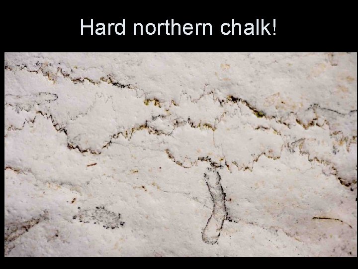Hard northern chalk! Hard northern chalk!