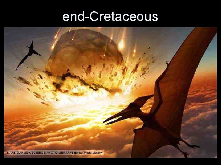 end-Cretaceous end-Cretaceous