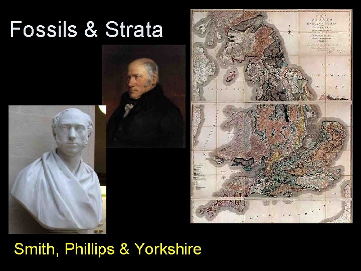 Fossils & Strata Smith, Phillips & Yorkshire Fossils & Strata Smith, Phillips & Yorkshire