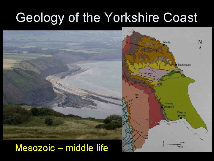Geology of the Yorkshire Coast Mesozoic – middle life Geology of the Yorkshire Coast Mesozoic – middle life