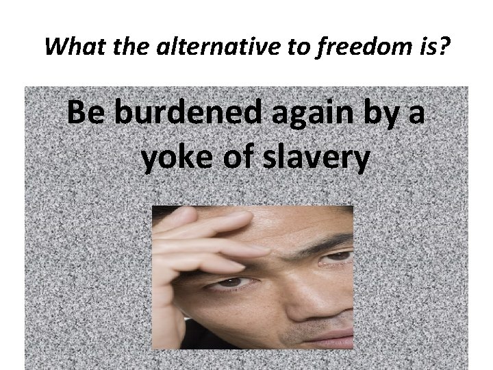 What the alternative to freedom is? Be burdened again by a yoke of slavery