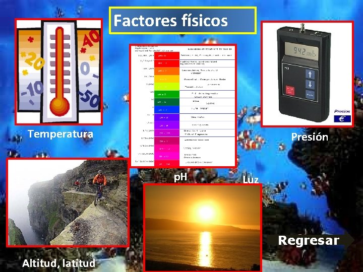 Factores físicos Temperatura Presión p. H Luz Regresar Altitud, latitud Factores físicos Temperatura Presión p. H Luz Regresar Altitud, latitud